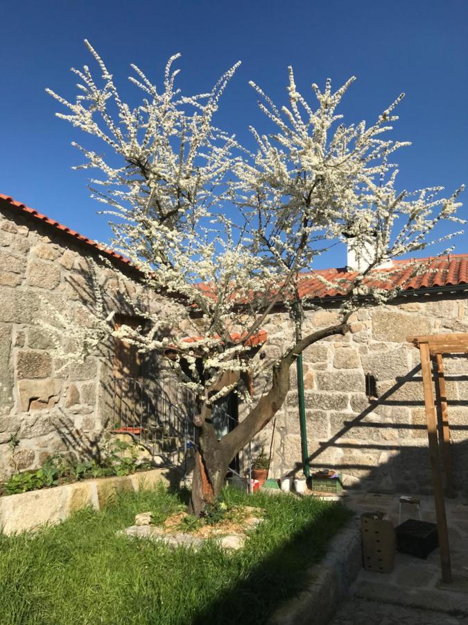 Quinta Do Pinheiro Villa Guimaraes Bagian luar foto