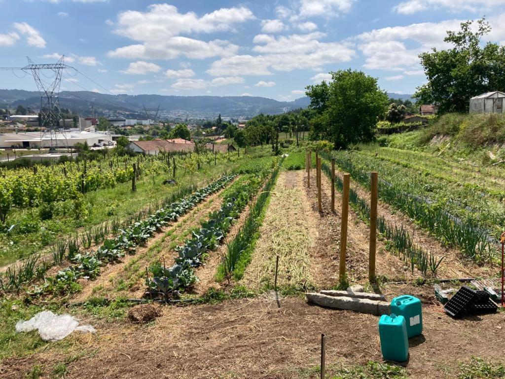 Quinta Do Pinheiro Villa Guimaraes Bagian luar foto