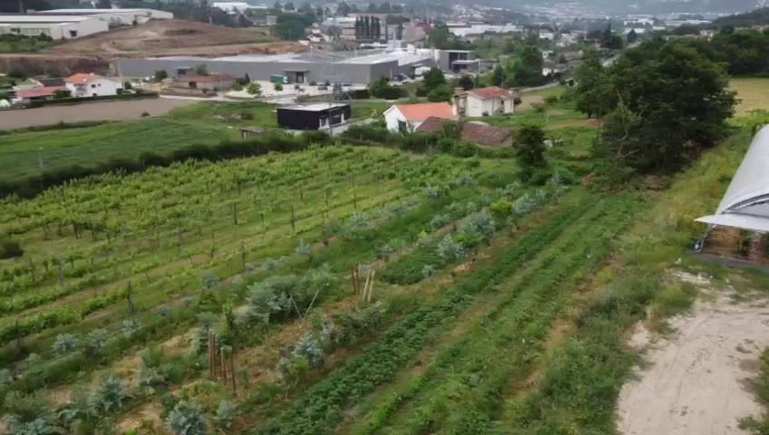 Quinta Do Pinheiro Villa Guimaraes Bagian luar foto